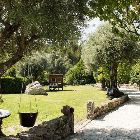 Quinta Do Meira Braga Extérieur photo